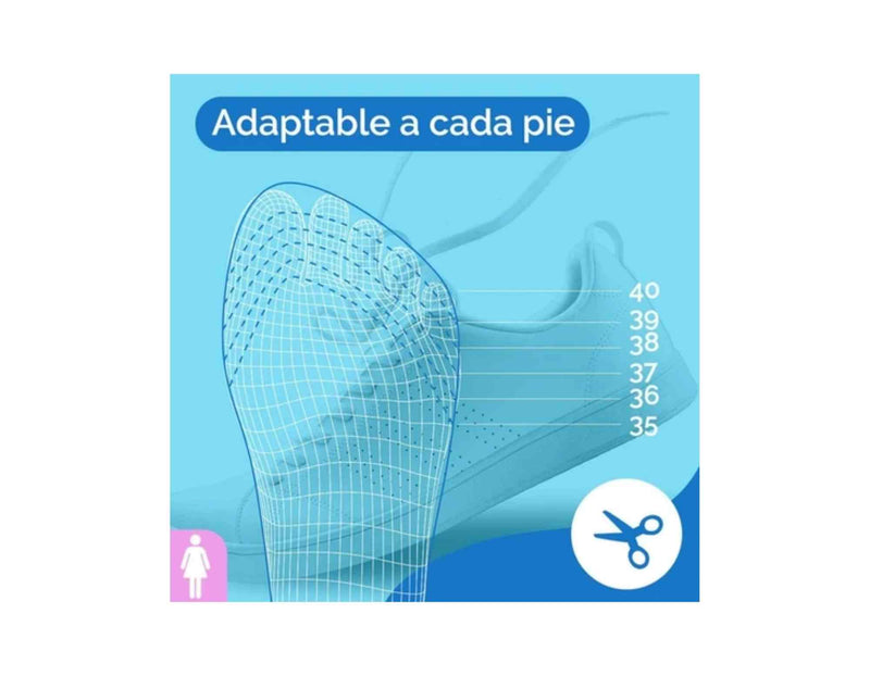 SCHOLL PLANTILLAS USO DIARIO MUJER